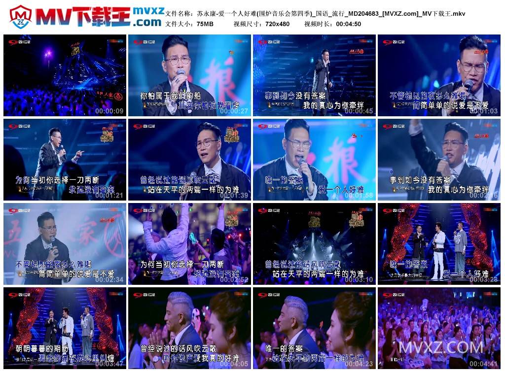 苏永康-爱一个人好难(围炉音乐会第四季)_国语_流行_MD204683